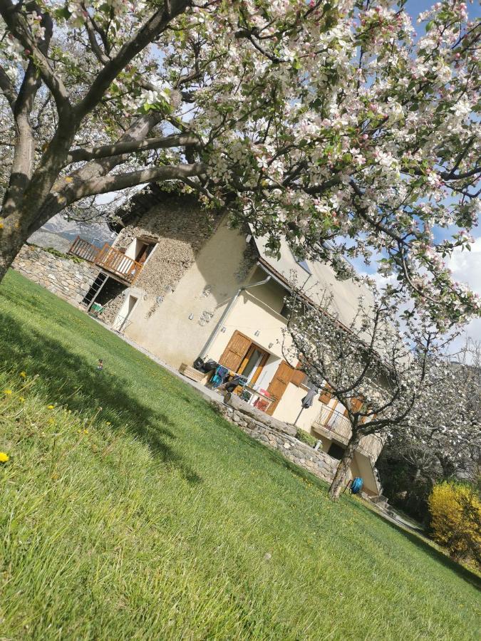 Chambres D'Hotes Les Peschiers Chateauroux-les-Alpes Esterno foto